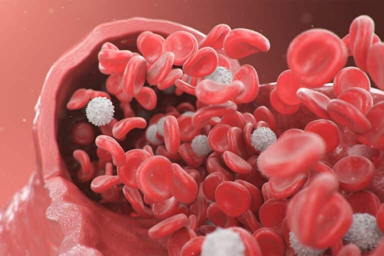 illustration of blood cells flowing through a vein