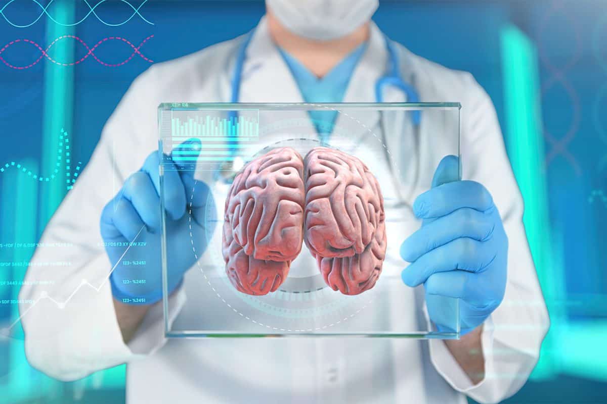 doctor holding a model of a brain